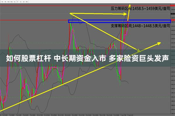 如何股票杠杆 中长期资金入市 多家险资巨头发声