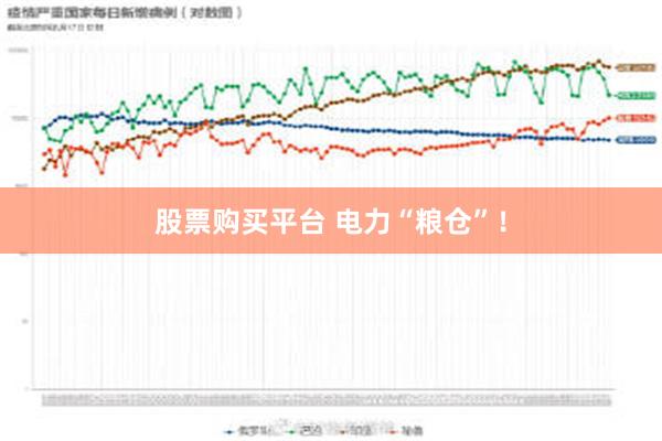 股票购买平台 电力“粮仓”！